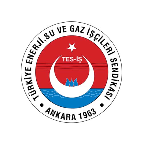 TES -İŞ